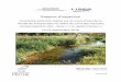 Rapport d expertise - lisea.fr · Rapport d’expertise Inventaire piscicole réalisé sur le ours d’eau de la Veude de Ponçay dans le cadre du suivi des mesures compensatoires