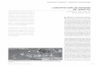L’ archiTecTure de PaYsaGe de L’eXPo 67 - lacf.ca journal article-JSEAC... · de paysage à laquelle nous consacrons >Nicole Valois et JoNathaN cha L’ archiTecTure de PaYsaGe