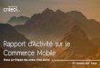 Rapport d’Activité sur le Commerce Mobile - criteo.com · Part des transactions cross -device* e-commerce en France, par appareil, Q4 2016 Le shopping via plusieurs terminaux gagne