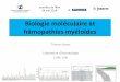 Biologie moléculaire et hémopathies myéloïdes - OVHcluster013.ovh.net/~aihemato/AIH/wp-content/uploads/2014/08/MiniWE... · Recherche mutations N-RAS, c-KIT, IDH par technique