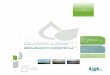 ’A Rapport des tranches conditionnelles 1, 2, 3 : Etude ... · Dans le cadre du projet de révision du Plan de Prévention des Risques Inondation (PPRI) du fleuve Loire dans le