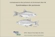 Systématique des poissons - maisondelariviere.ch · Super-classe deutérostomiens (Deuterostomia) Embranchement chordés (Chordata) Sous-embrachement vertébrés (Vertebrata) Classe