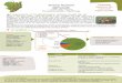 Serres - Agriculture Durable de Moyenne Montagneagriculture-moyenne-montagne.org/IMG/pdf/Monographie_Burlaud_et... · bâtiments incluant notamment les serres (32%) et du matériel