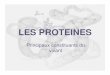 LES PROTEINES - Accueilbertrandcla.free.fr/Documents/PROT PPT.pdf · - Rôle d'autant plus important que le cœur de la protéine possède un D faible - Forces s'additionnent dans