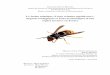 Le frelon asiatique ( Vespa velutina nigrithorax ...mem-envi.ulb.ac.be/Memoires_en_pdf/MFE_13_14/MFE_Bordes_13_14.pdf · 2 Résumé Le frelon asiatique (Vespa velutina nigrthorax)