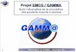 Projet EMCS / GAMMA - pro.douane.gouv.fr · Décret n° 2010-631 du 9 juin 2010 relatif au suivi, au contrôle et à la dématérialisation des procédures concernant les mouvements