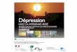 Présentation PowerPoint journéeSFGG_Depression.pdf · Dépression de la personne âgée • CONTEXTE • La dépression est l’un des problèmes de santé mentale les plus communs