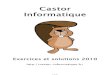 Castor Informatique - Epreuves 2010castor-informatique.fr/documents/plaquette_2010.pdf · Présentation de l'épreuve 2010 Le concours Castor Informatique 2010 était divisé selon