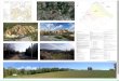 Residences du Plateau - Internet DREAL PACA CHADRU INVESTISSEMENT 5.5.2017 PHASE DU PROJET : PERMIS DE CONSTRUIRE DIRECTION GÉNÉRALE DES FINANCES PUBLIQUES -----EXTRAIT DU PLAN CADASTRAL-----Département