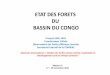 ETAT DES FORETS DU BASSIN DU CONGO - assets.wwf.esassets.wwf.es/downloads/francoishiolhiol_etat_des_forets_du_bassin_du_congo.pdf · Introduction • Les forêts du bassin du Congo