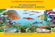 Poissons d’aquarium sains - Aquaristik, Terraristik, Gartenteich | … · 2016-09-21 · 2.4 Maladies dues à des flagellés ... 2.8 Maladies dues à des crustacés ... fortes chances