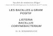 LISTERIA BACILLUS CORYNEBACTERIUM - cours- Superieures/Medecine...  Objectifs Citer les esp¨ces