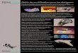Rhinoceros Outils de modélisation pour les designers · Penguin est un moteur de rendu scanline non photométrique de type esquisse et dessin animé qui permet de créer des images