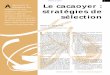 A Le cacaoyer : stratégies de sélection - agritrop.cirad.fragritrop.cirad.fr/388091/1/document_388091.pdf · • le vascular streak dieback, ou VSD, (Oncobasidium theobromae), répandu