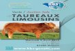 Organisation des producteurs associés du Limousin Vente ... · nectar nono navarro gpp haricot gpp ficus rr vs gpp bavardage rre m gpm balzac gpm flamby ben gpm expert rr vs gmp