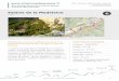 Falaise de la Madeleine - cheminsdesparcs.fr · Parc naturel régional du Luberon En partenariat avec OTI Pays d’Apt Luberon Plénitude et émerveillement face à la beauté sauvage
