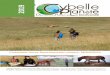 9 201 · 2Mission d’écovolontariat Chevaux en Mongolie Vous pouvez librement télécharger ce document ainsi que les documents correspondant aux autres missions sur la page web