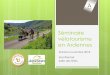 Séminaire vélotourisme en Ardenne - pro.ardennes.compro.ardennes.com/wp-content/uploads/2018/11/presentation-seminaire-ve... · Une grille de critères complète et adaptée : local