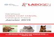 Génétique CHIEN CHAT CHEVAL Catalogue France Janvier 2019 · 8127 Atrophie progressive de la rétine (prcd-PRA)* Lab. partenaire7-1460,00 77,50 American Cocker Spaniel, American