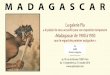 MADAGASCAR - galeriepla.com · par Louis Raoelina daté 1904. Louis Raoelina Fin XIXème – Debut XXème. C’est auprès des missionnaires anglais, à l’école FFMA (Friend Foreign