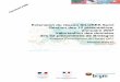 Extension du réseau SILURES Suivi Gestion des 10 ...infoterre.brgm.fr/rapports/RP-56050-FR.pdf · souterraine, définies dans le cadre de la mise en œuvre de la Directive Cadre
