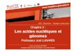 UE1 : Biochimie – Biologie moléculaireunf3s.cerimes.fr/media/paces/Grenoble_1112/lunardi_joel/lunardi_joel_p... · Chapitre 2 : Les acides nucléiques et génomes Professeur Joël