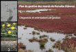 Plan de gestion des marais de Kersahu (Gâvres)radedelorient.n2000.fr/sites/radedelorient.n2000.fr/files/documents/... · Les marais de Kersahu se sont formés sur le revers du tombolo