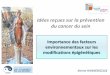 Idées reçues sur la prévention du cancer du seinsenologie.tv/pdfs_up/5a69da22e0f10.pdf · Importance des facteurs environnementaux dans la prévention du cancer du sein? • La