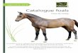 Foire de Lessay - cheval-normandie.fr · Catalogue foals Foire de Lessay 7 septembre 2018 Les poulains de de ce catalogue seront présentés au concours du vendredi 7 septembre à