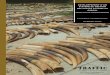 PROPOSITIONS DE STANDARDS MINIMUMS S RINGUET ET EAN ... · Gestion informatique des stocks d’ivoire 29 Cadre juridique et législation 31 Gestion des stocks d’ivoire 31 Amendement