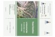 Les Forêts des Zones Sèchesgire-pse.com/document/result/Nduwayo_al_pg.pdf · Abdellatif Khattabi et Ahmed Ouhammou. [P. 84 -.97] Estimation de la biomasse et de la quantité de