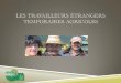 Les travailleurs agricoles saisonniers étrangers · Ententes avec Guatemala – Honduras – El Salvador La production doit faire partie de la liste nationale des secteurs agricoles