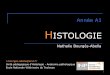 HISTOLOGIE - cours, examens 2017-05-29¢  Histologie- ENVT Ann£©e A1 - nba 2 HISTOLOGIE D£©finition £©tymologique: