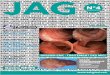 JAG N°4 - sahgeed.comDans un excellent article original ayant trait à la chirurgie colorectale, le Pr Abid confirme la supériorité de la chirurgie laparoscopique par rapport à