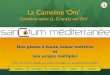 La Cameline ‘Om’ · 2017-06-09 · La Cameline ‘Om’! Camelina sativa (L. Crantz) var ‘Om’.! La Plante! Son Histoire! Sa Culture! L’huile! La farine! Une plante à haute