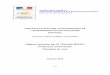 Rapport présenté par M. Christian BOUZY Professeur d’Université …media.education.gouv.fr/.../43/1/capesextesp_160431.pdf · 2010-11-17 · I. QUESTIONS DE LITTÉRATURE 1) Fernando