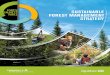 Sustainable Forest Management Strategy - MFFP...The Sustainable Forest Management Strategy presents the vision, challenges, orientations, objectives, and actions for putting the forest