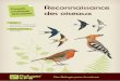 Reconnaissance des oiseaux · • Prévoir des petits groupes afin de limiter le bruit et multiplier les possibilités d’observation. • Utiliser des jumelles ou longues-vues