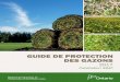 GUIDE DE PROTECTION DES GAZONS - Ontario · 2017-10-30 · chargé de revoir les pesticides et de faire ses recommandations au . MEACC à l’égard de la classification de chaque