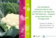 Les pratiques phytosanitaires des producteurs de légumes de l’île … · 2017-08-22 · (le producteur devient acteur de ses propres changements). Le producteur intège un goupe