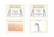 Artères et Veines des Membres Supérieurs · Anatomie Vasculaire Echo-Anatomie et méthode d ’examen Lésions Traumatiques Syndrome du passage thoraco-brachial Thrombose et Embolie