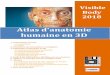 Atlas d'anatomie humaine en 3Dbu.univ- ... 1. Présentation et accès 1.1 Présentation L'atlas d’anatomie humaine « Visile ody » est une appliation permettant de visualiser en