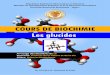COURS DE BIOCHIMIE Les glucides · Université d’Alger 01 Faculté des Sciences Département SNV Biochimie 2ème année SNV (S3) 2017/2018 1 Dr. OUSMAAL M.F Introduction Les glucides