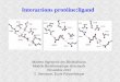 Interactions protéine:ligandbioc.polytechnique.fr/biocomputing/courses/Interactions_M2.pdf · c Ligand (latin ligare): substance qui peut former un complexe non-covalent avec une