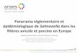 Panorama réglementaire et épidémiologique de Salmonella ... · Panorama réglementaire et épidémiologique de Salmonella dans les filières avicole et porcine en Europe Laetitia
