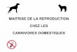 MAITRISE DE LA REPRODUCTION CHEZ LES CARNIVORES …roneo07.free.fr/4-MaitriseReproCn-fev09.pdf · Dexam thasone (0,2 mg/kg et j pd 7,5 10 j) = avortement en 2 6 jours!! INTERRUPTION