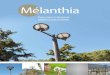 Mélanthia - Hellopro... Avec Mélanthia, un vent de renouveau souffle sur le design des luminaires. Fonctionnel et contemporain, il trouve aussi bien sa place dans un quartier