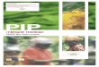 PIP...P3 Guide pour une production de la variété d’ananas md2 (manuel à l’intention des exploitants et techniciens agricoles) Contexte En 2004, le Programme Initiative Pesticides