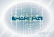 Retrouvez notre rapport d'activité - HAROPA Portsra2018.haropaports.com/wp-content/uploads/ra-pdf/ra2018.pdf · de Rouen et de Paris dans un établissement public qui sera doté