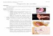 Diagnostic des surditésuniv.ency-education.com/uploads/1/3/1/0/13102001/orl6an05-diagnostic... · 6e année médecine – Rotation 3 – 2017/2018 ISM Copy Module d’Oto-Rhino-Laryngologie